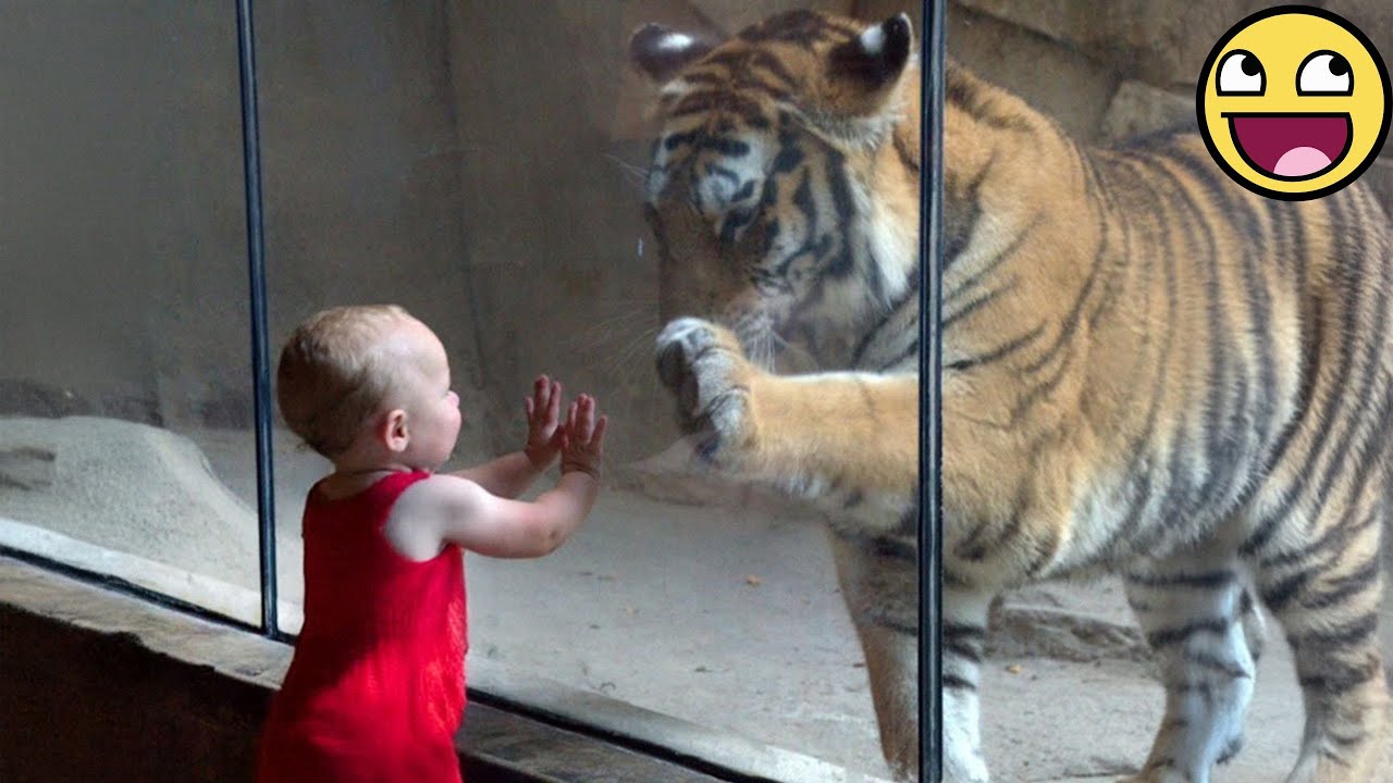 Cute Baby Has First Encounters With Animals At The Zoo 🐶👧✨