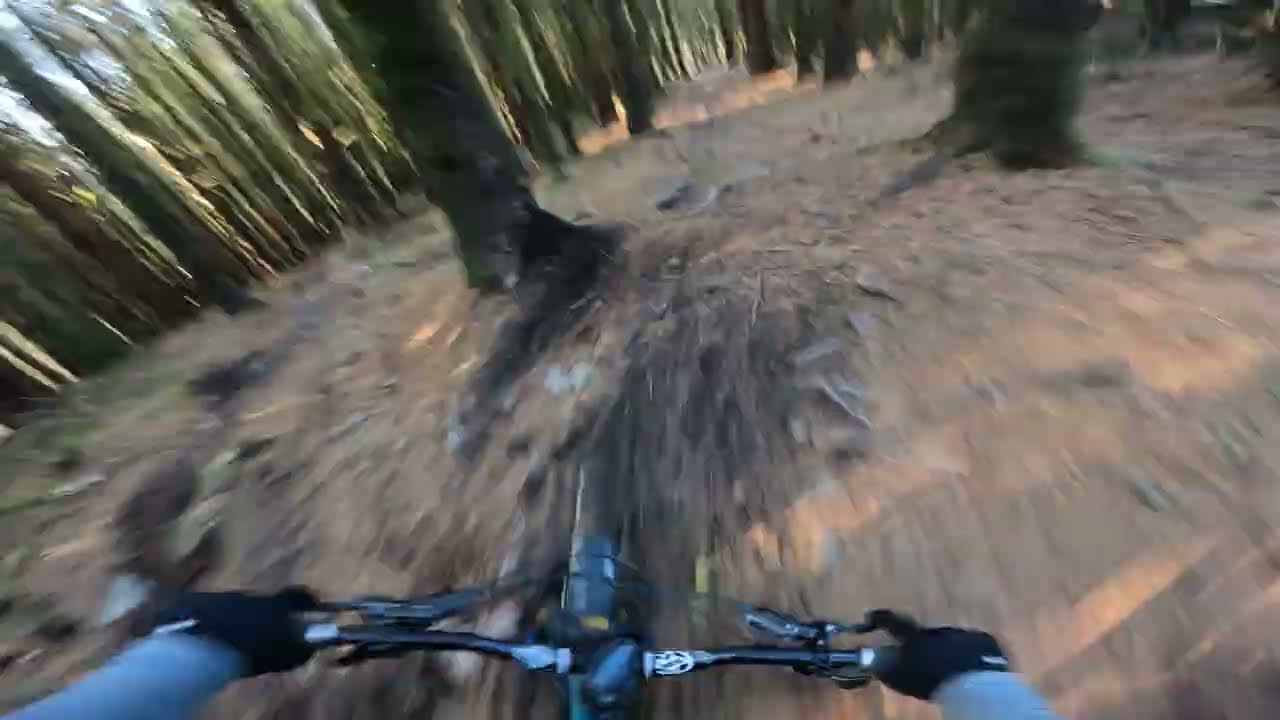 Innerleithen Cresta run variation onboard with Tristan Botteram