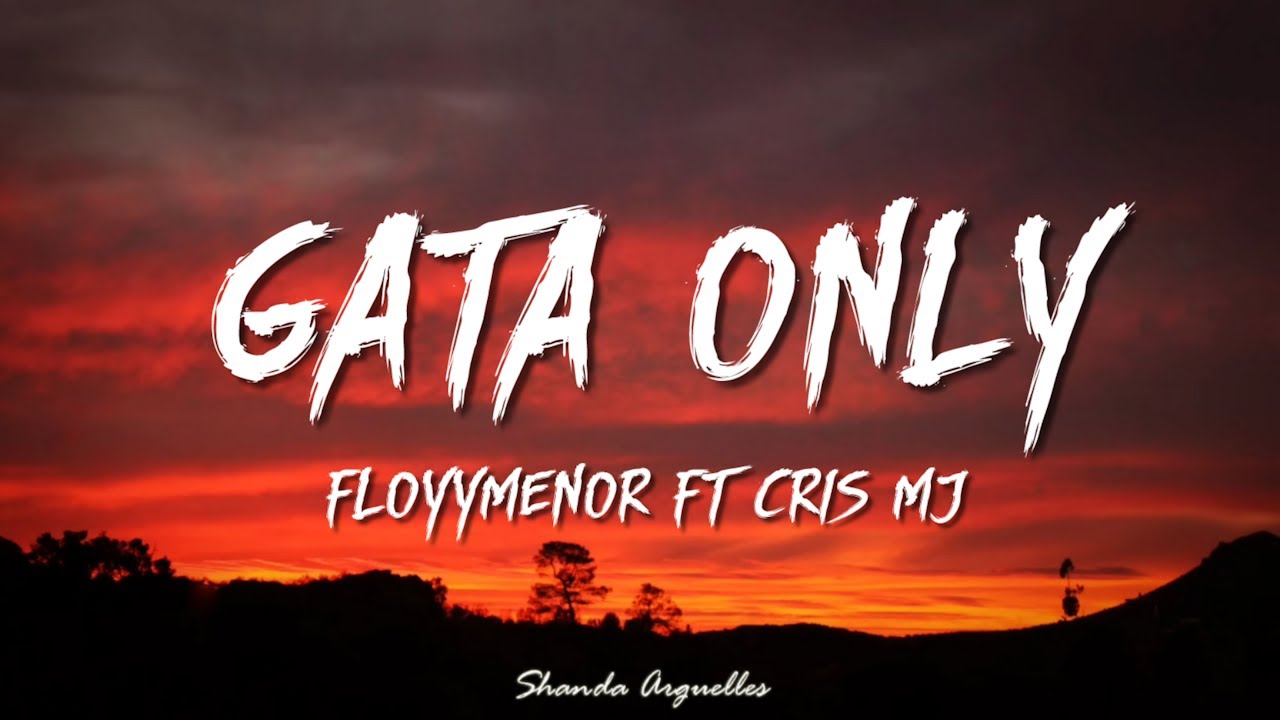 FloyyMenor - GATA ONLY ft. Cris MJ (Letra/Lyrics)