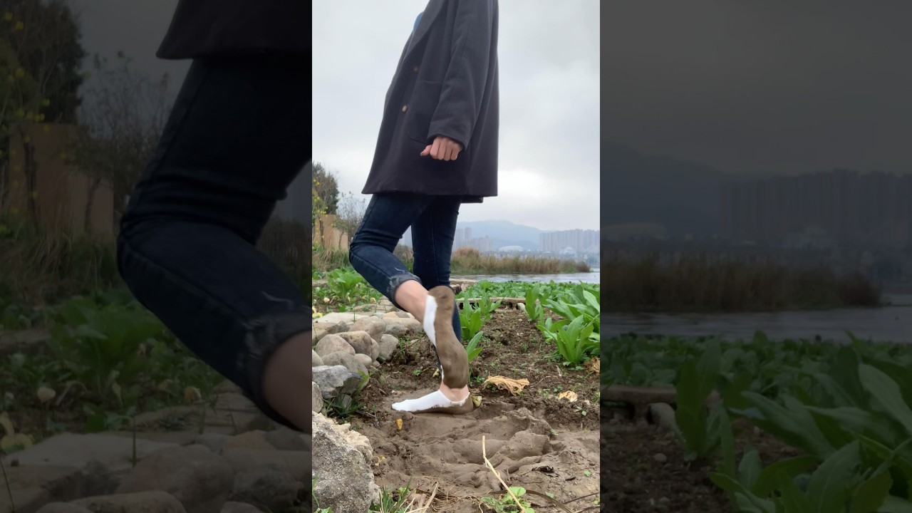 Gan worked in the rice field wearing white socks, generously displaying her already dirty soles