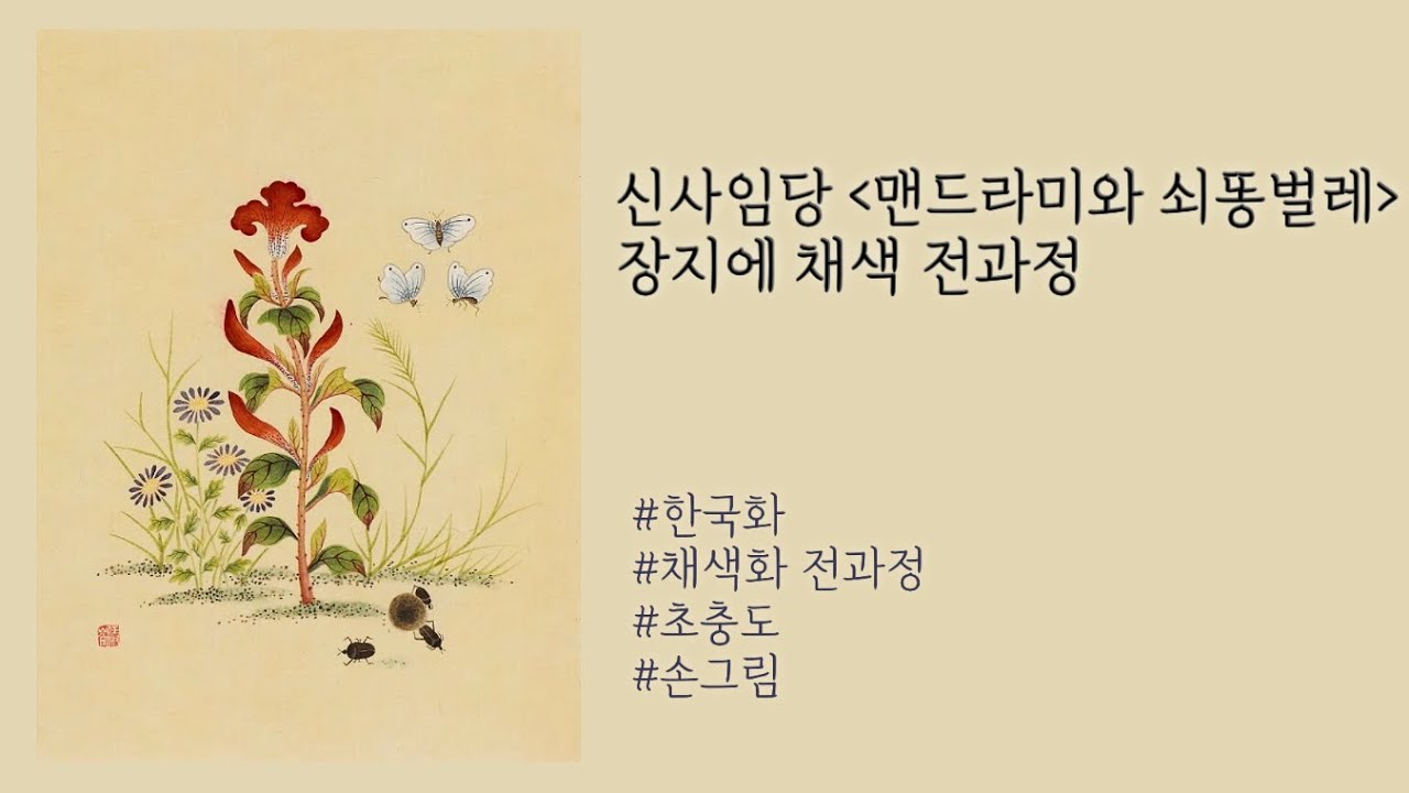 생강[GINGER] 신사임당 초충도 맨드라미와 쇠똥벌레 채색화 전과정