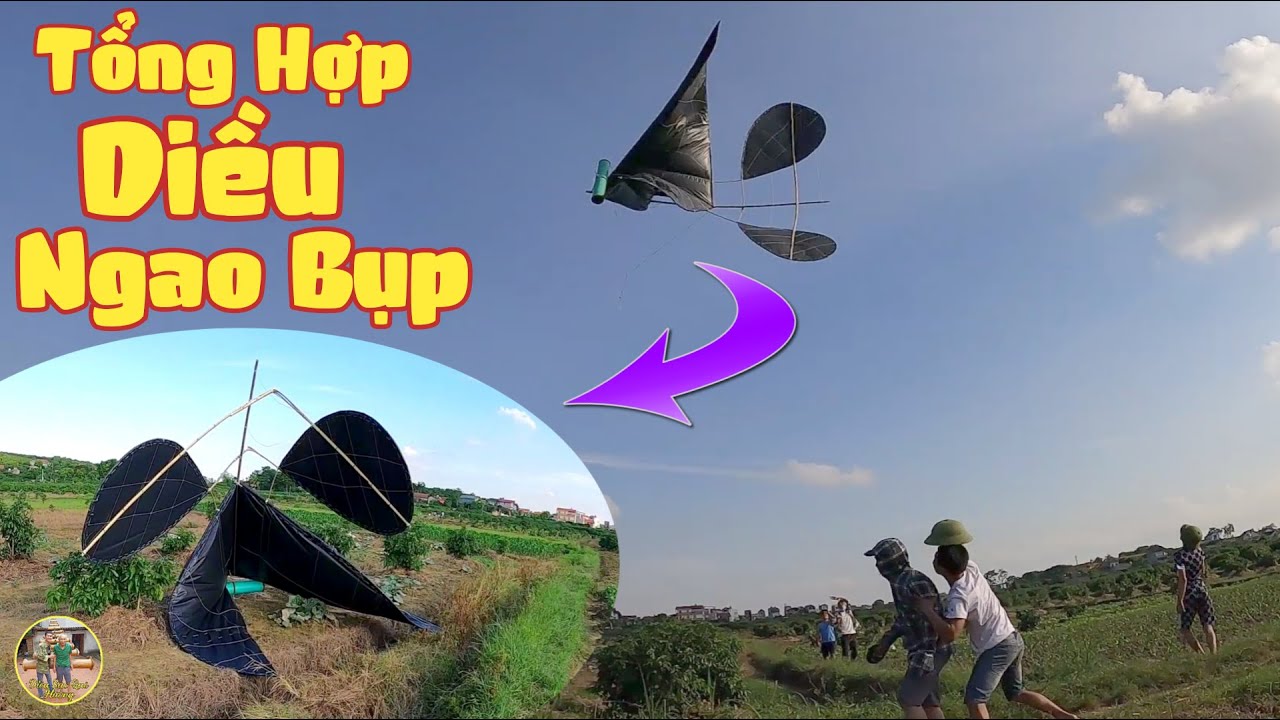 VIDEO TỔNG HỢP NHỮNG PHA THẢ DIỀU SÁO NGAO BỤP SIÊU HÀI HƯỚC NĂM 2020 | Diều Sáo Quê Hương