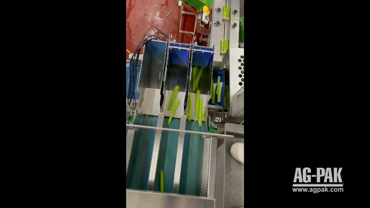 Celery
