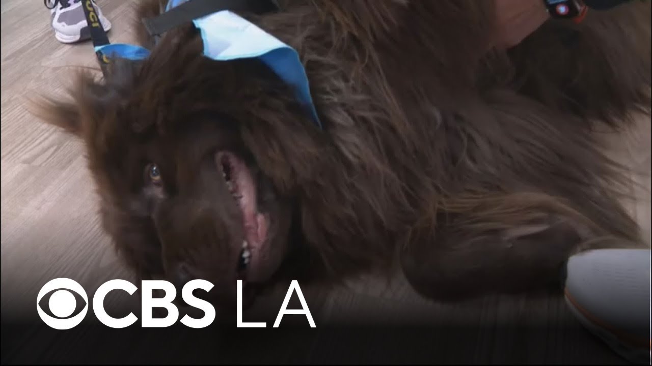 UC Irvine hospital to have new 