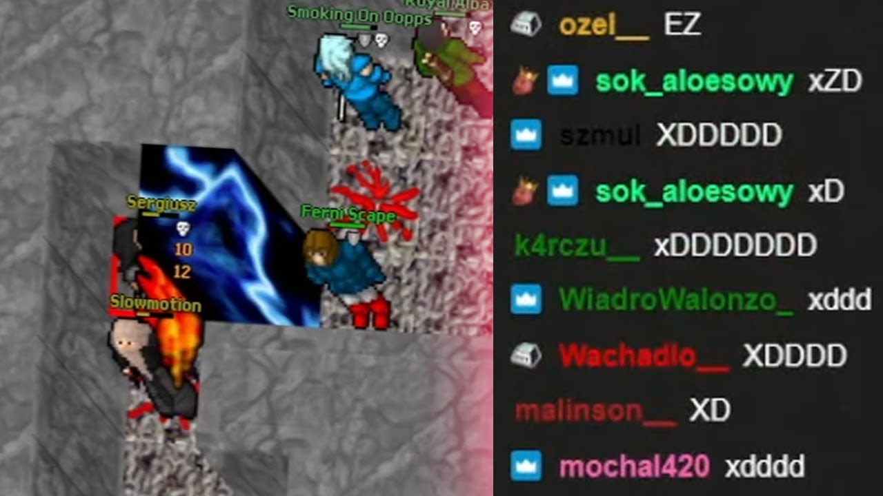 DLACZEGO PUNIO JEST UZNAWANY ZA JEDNEGO Z NAJLEPSZYCH GRACZY PVP W TIBII? SAM SIĘ PRZEKONAJ 😎👇