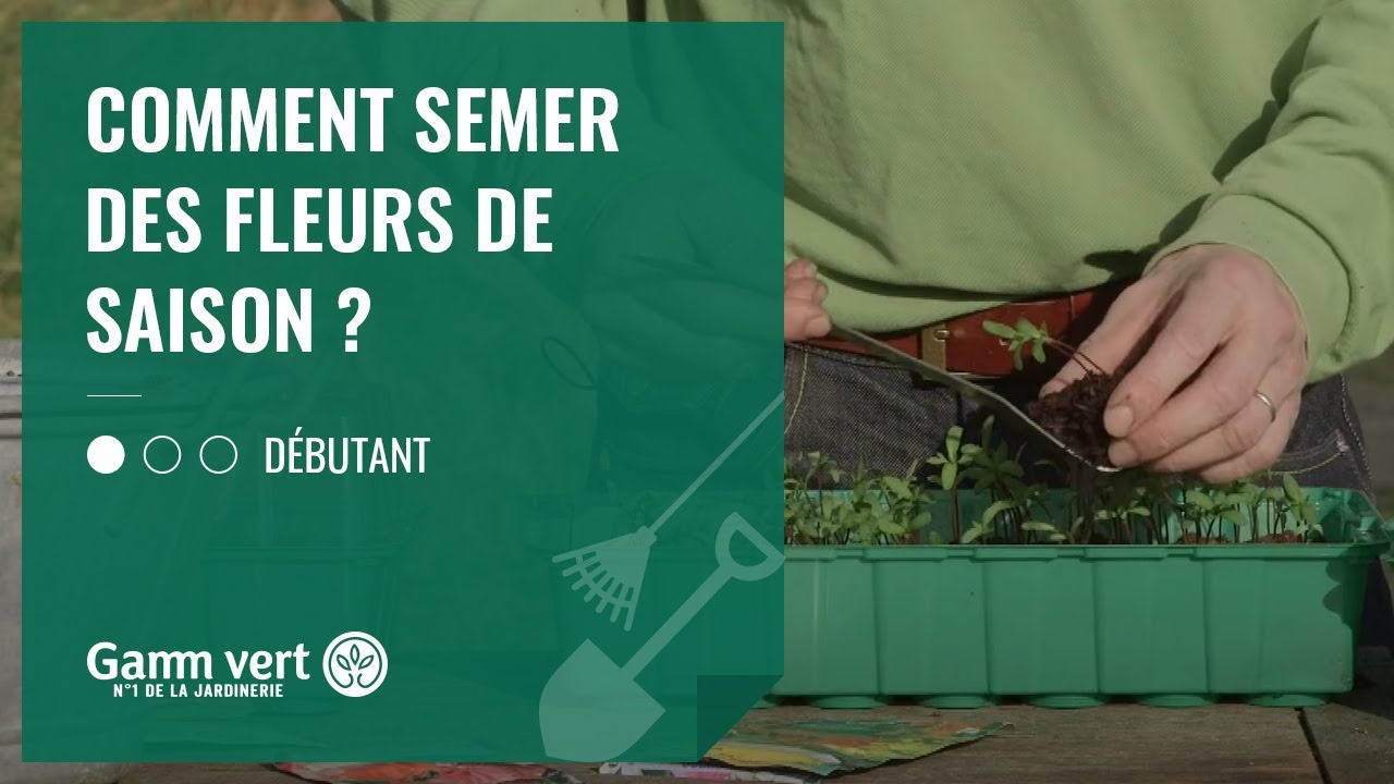 Tuto - Comment semer des fleurs de saison ?