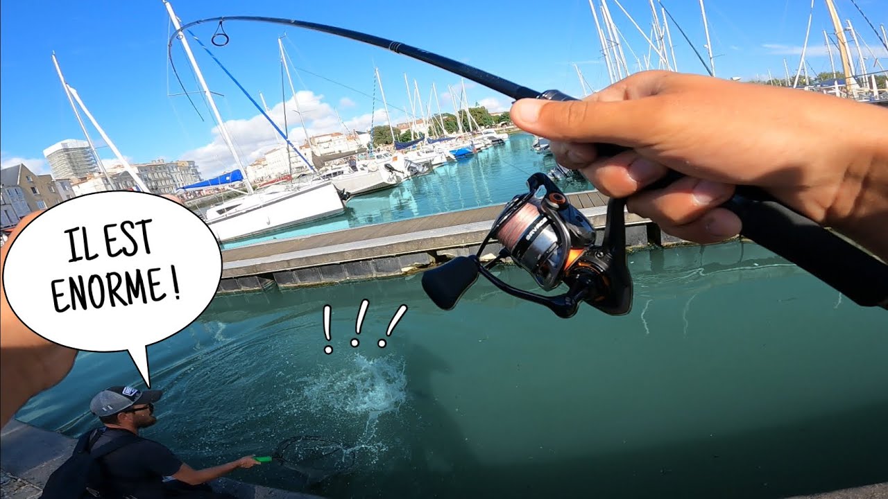 Je PULVÉRISE mon RECORD en pêchant dans le PORT de LAROCHELLE !