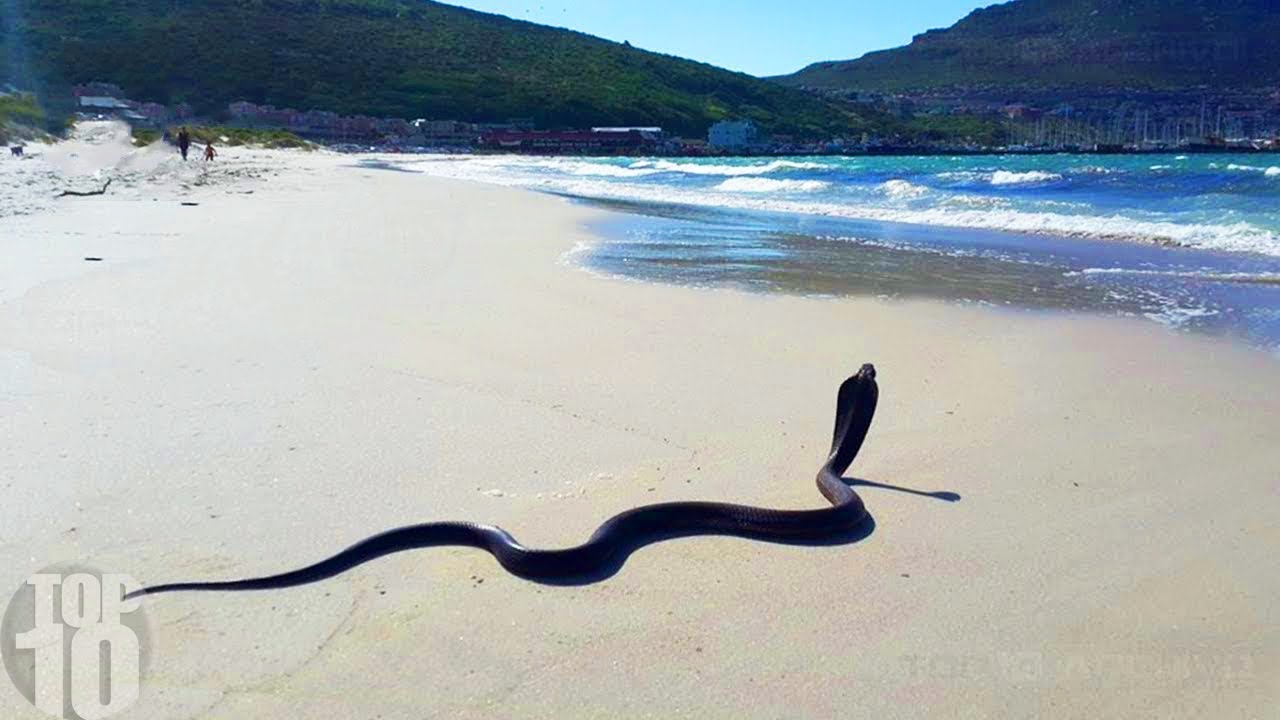 Most Dangerous Beaches In The World