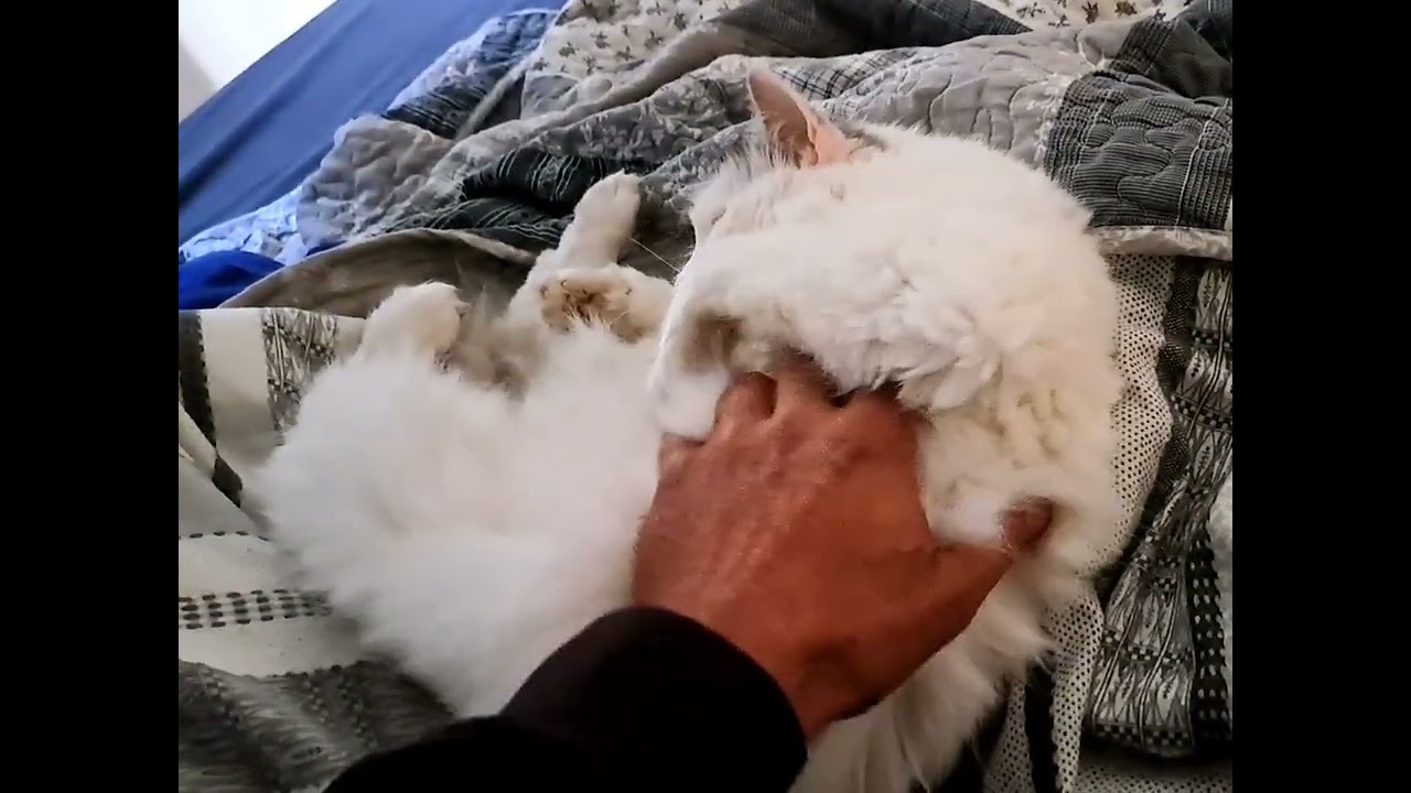 Morning indulgence Reggeli k&eacute;nyeztet&eacute;s 🙂🏠🙃