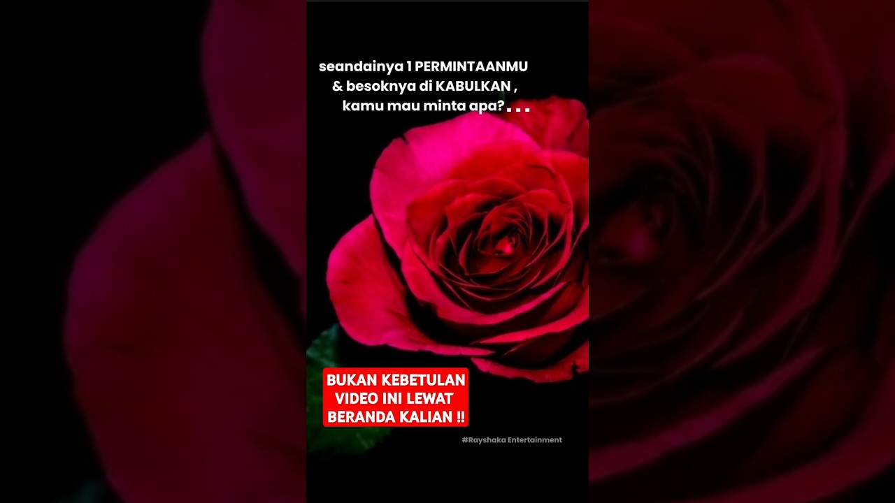 SHOLAWAT PENARIK REZEKI PALING DAHSYAT | SHOLAWAT PENGABUL HAJAT , PEMBUKA REZEKI #sholawatnabi