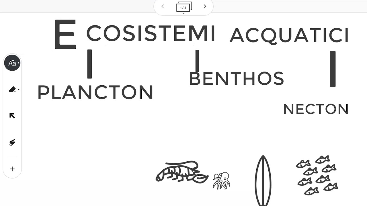 Ecosistemi acquatici