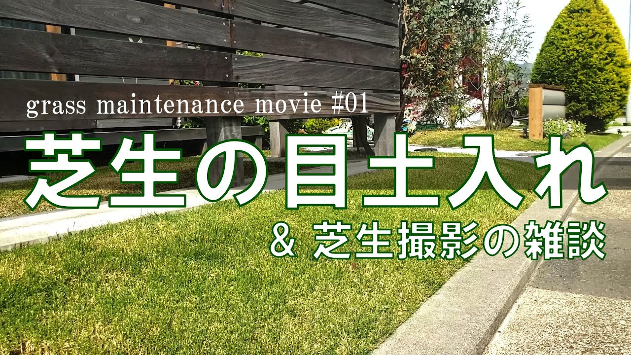 #001【目土入れ】庭の芝生に目土を入れました。後半は我が家の芝生雑談です。ディズニーランドの芝生にあこがれて起伏・勾配・うねり（波）をつけて張った高麗芝です。