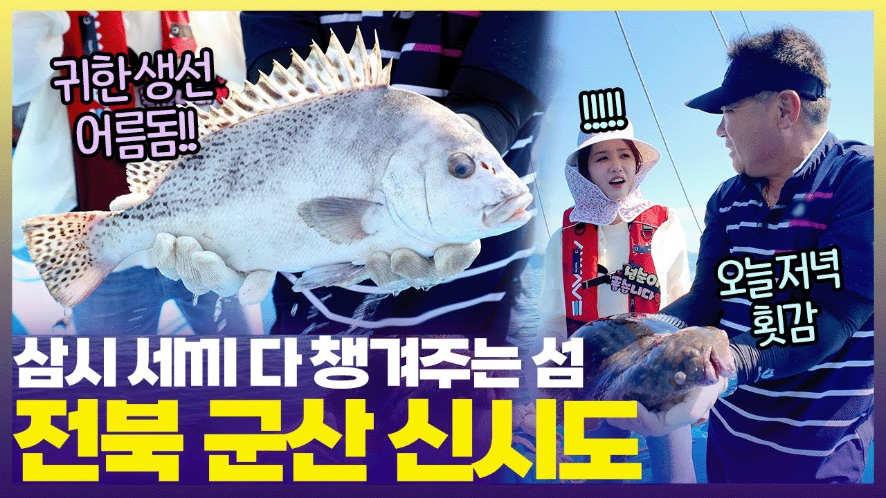 내 손으로 잡은 물고기가 저녁 밥상에 짠🐟신시도에서 하룻밤 자면 매 끼니 제철 수산물을 즐길 수 있어요 [6시 내고향] | KBS 250627 방송