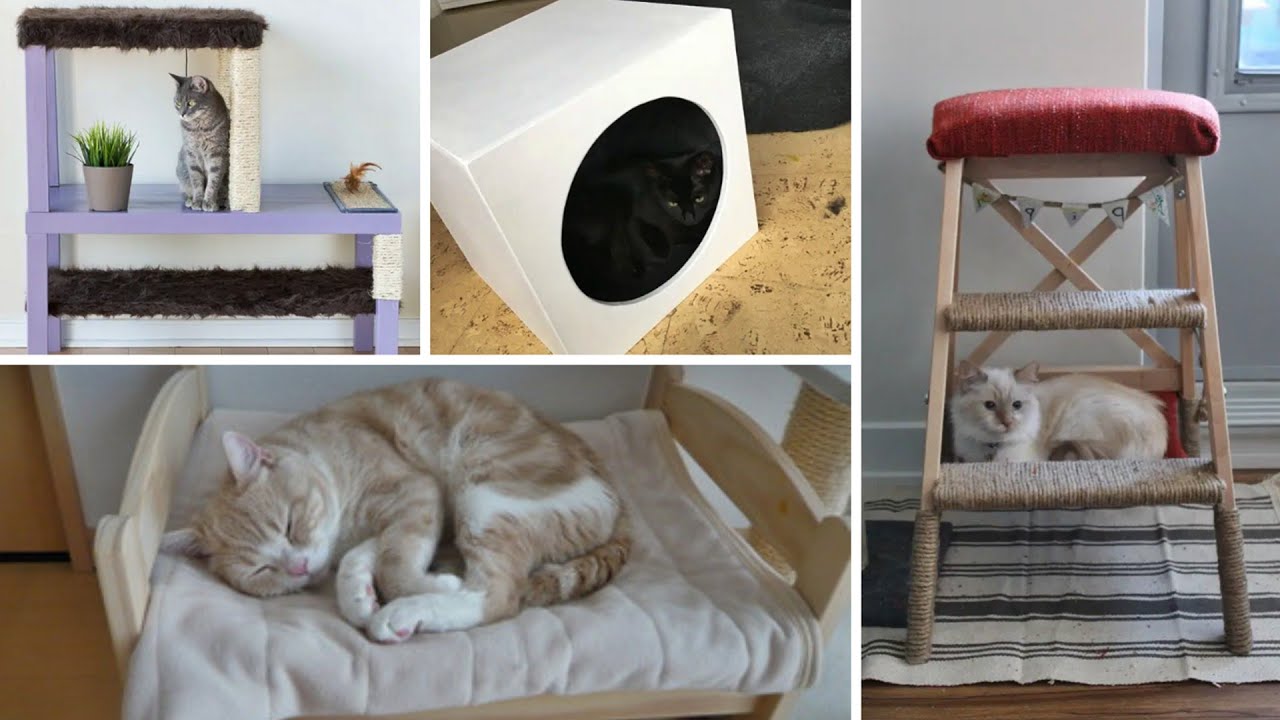 13 умных лайфхаков от IKEA, которые понравятся вашей кошке