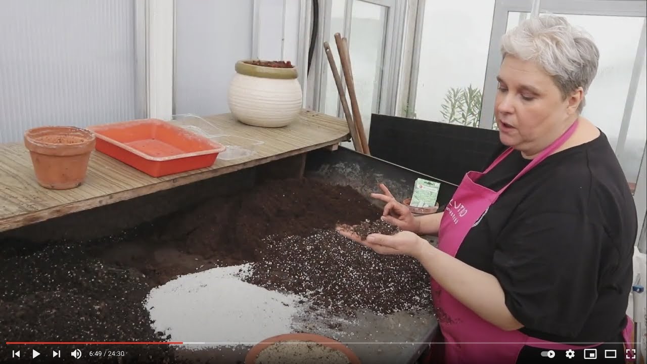 Podłoże do wysiewu nasion / Dorota Szubierajska
