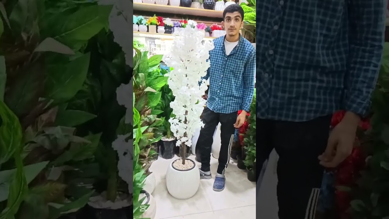 عروض على الشجر من وردة وانتيكا 🔥