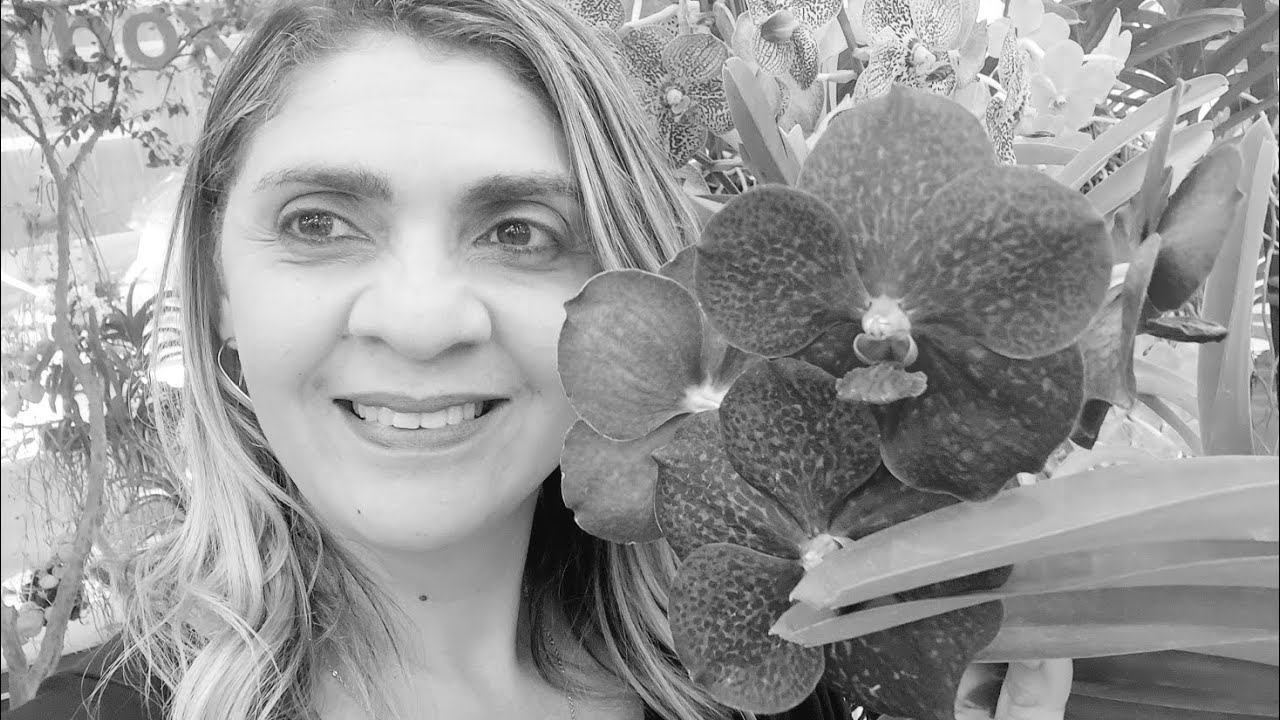 Área de Vendas Parte 2 - 43ª Exposição Nacional de Orquídeas no Ponteio Lar Shopping Belo Horizonte