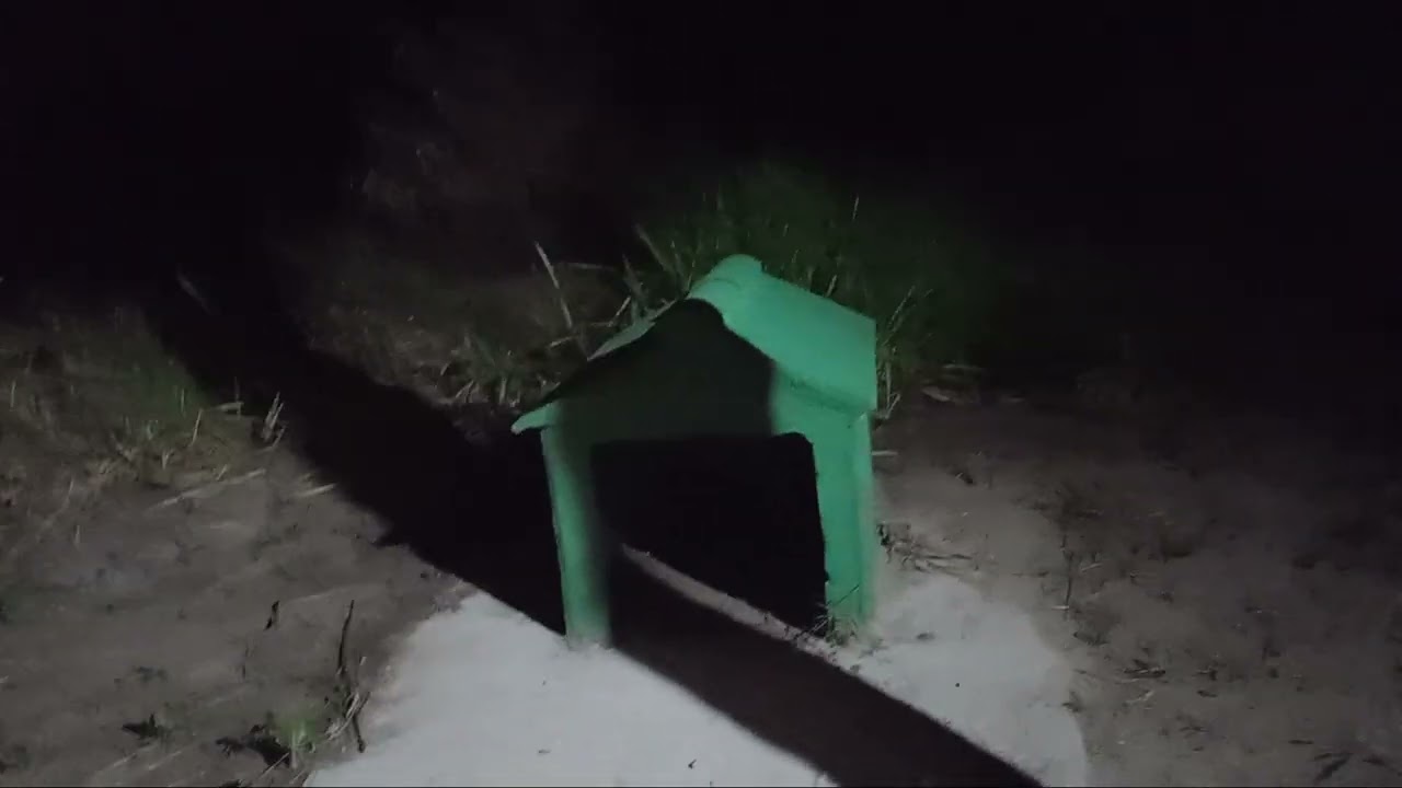 A noite no sitio