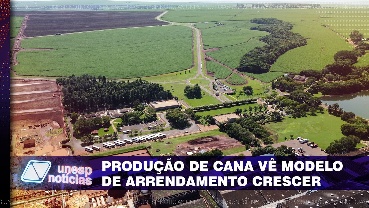 Cana-de-açúcar: estudo da Unesp aponta para alta no arrendamento e concentração do uso da terra