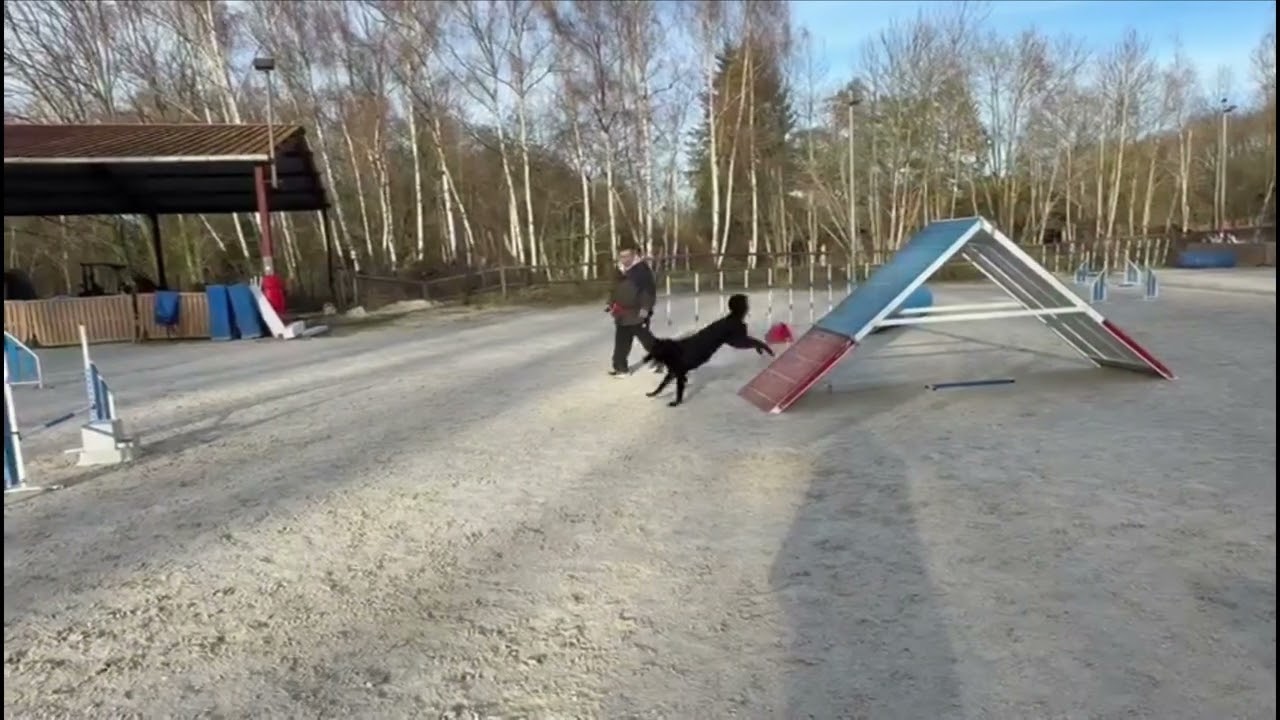 10 février 2026