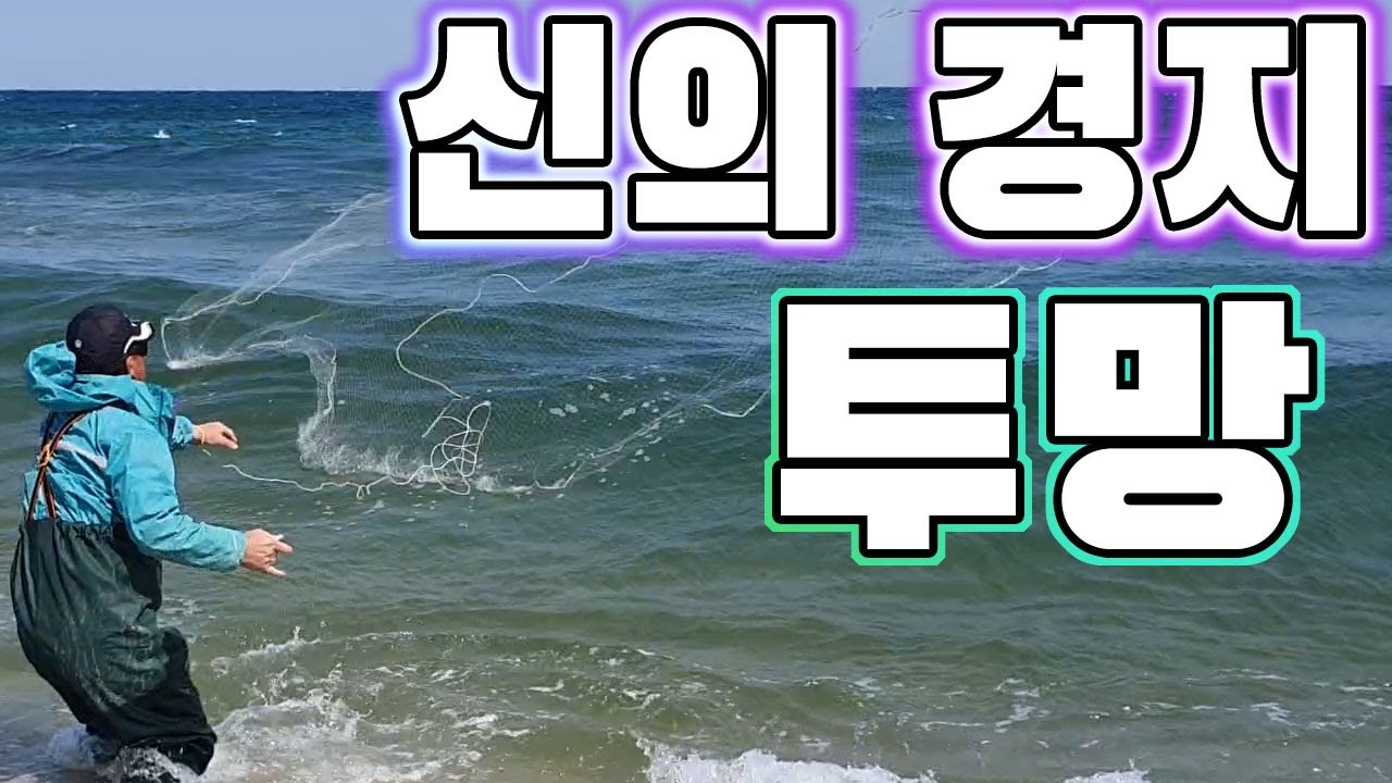 동해바다 투망 초고수! 전어회무침 전어구이 먹어보자./To catch fish by cast a net