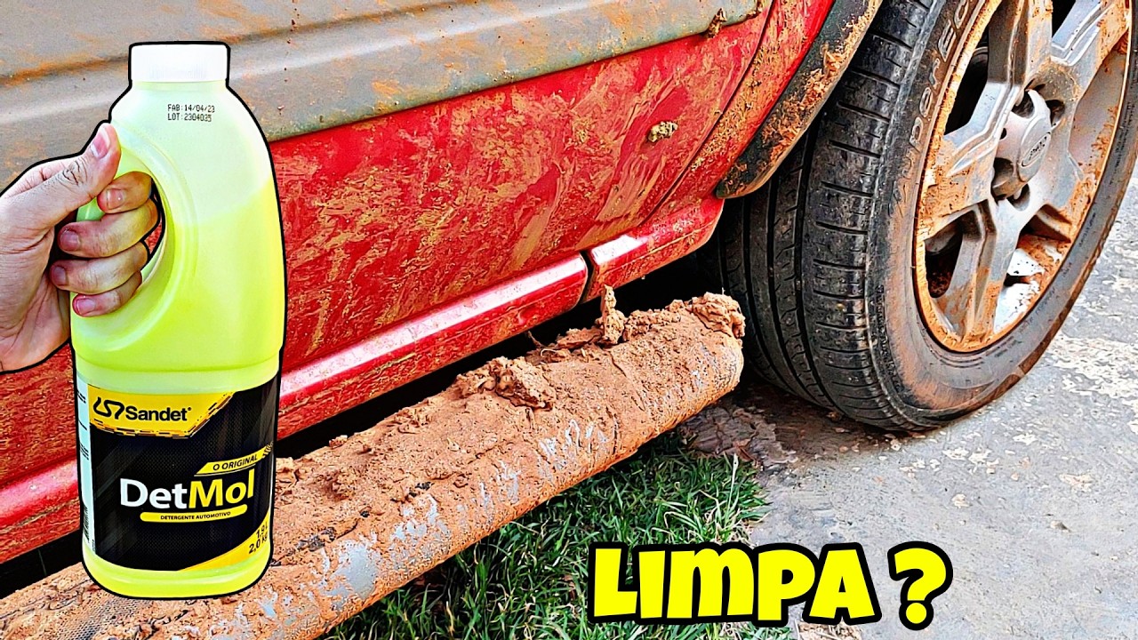 Det Mol Limpeza Pesada Funciona ?