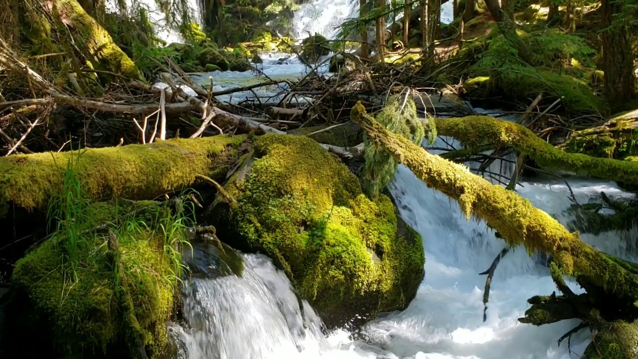 Pearsony Falls Prospect, Oregon