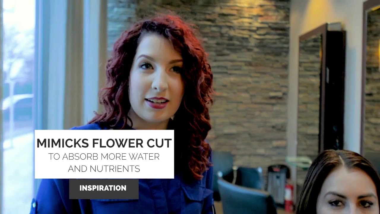 Introducing The Calligraphy Cut at Spalon Montage