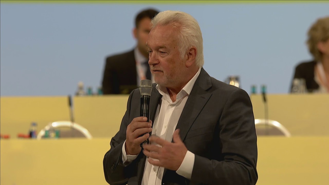Rede Wolfgang Kubicki  – a.o. Bundesparteitag