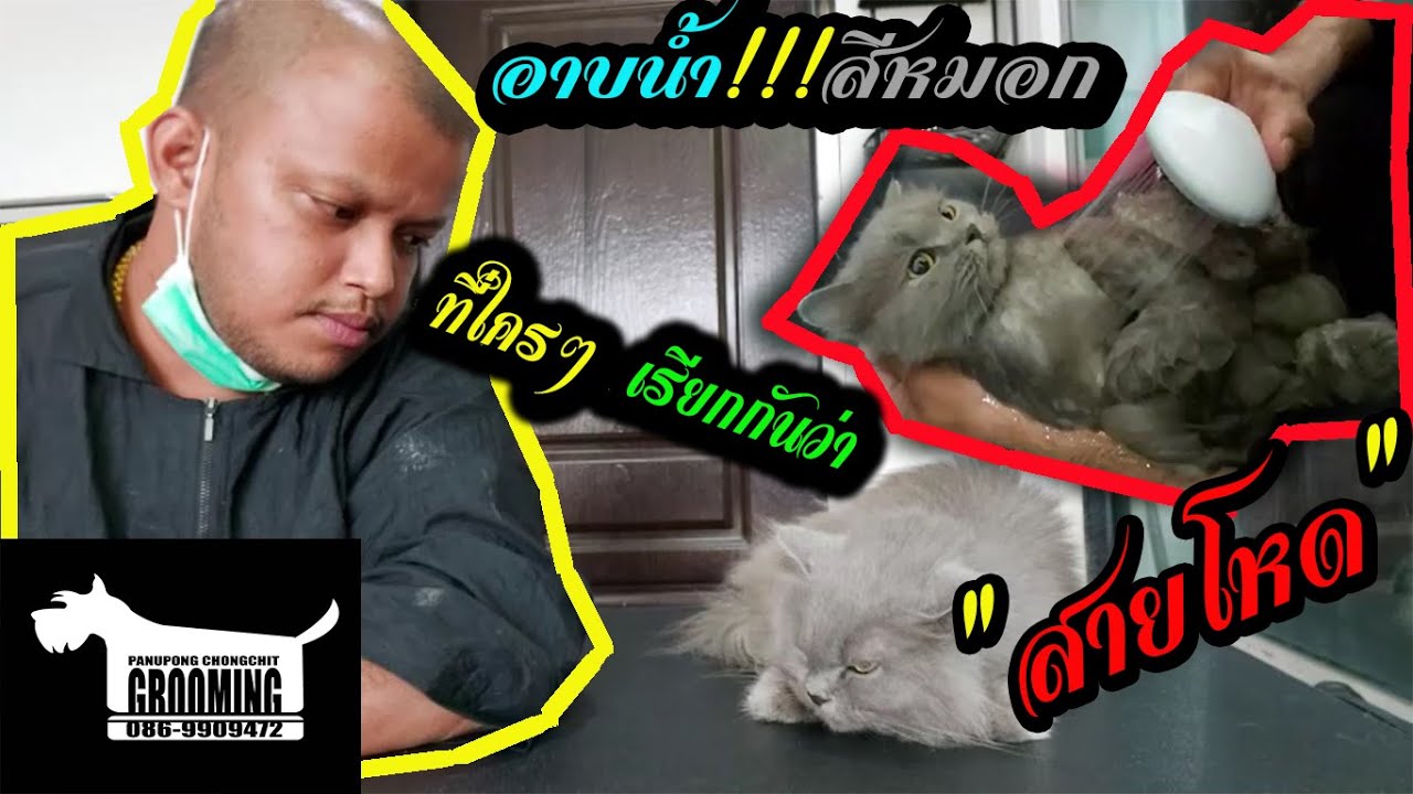 อาบน้ำ!!!สีหมอกที่ใครๆ เรียกกันว่า