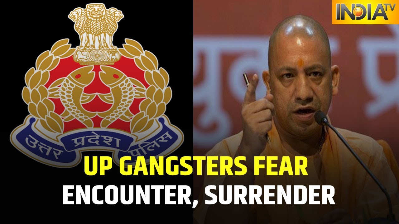 3 Gangsters Surrender Before The Police In Uttar Pradesh&rsquo;s Shamli Allegedly Fearing Encounter