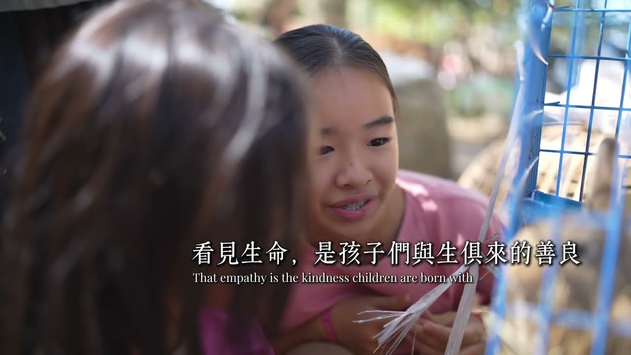 Welcoming Geese as Our Valley Neighbors—So the Kids Feel Safer 山谷请鹅当邻居 守护孩子更安心