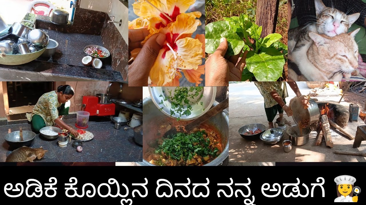 Honnavara ದಲ್ಲಿ ನನ್ನ ಮನೆ ಎಲ್ಲಿ? ಬಸಳೆ ಹೇಗೆ ಬೆಳೆದಿದೆ ನೋಡಿ