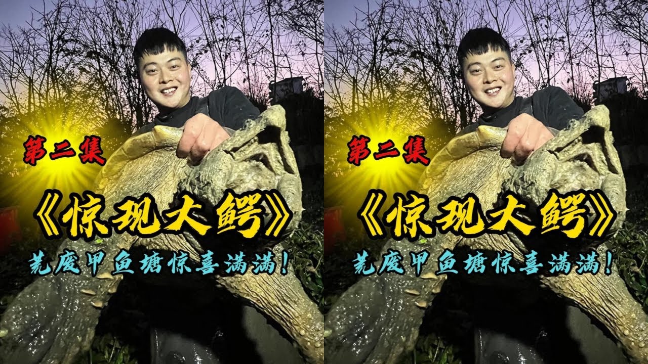 花3500元包下荒废多年的甲鱼塘，抓到大鳄龟和大角鳖真刺激