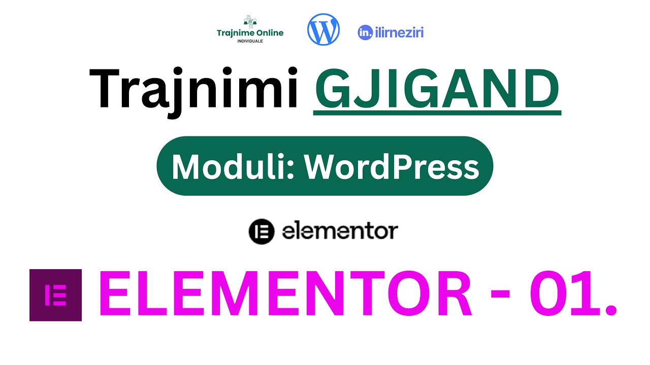 01. ELEMENTOR - Moduli WordPress