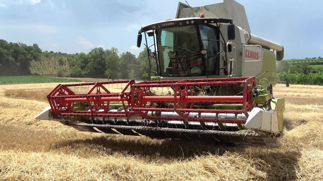 Mietitrebbia CLAAS 750 LEXION - Trebbiatura del grano sui colli Morenici.