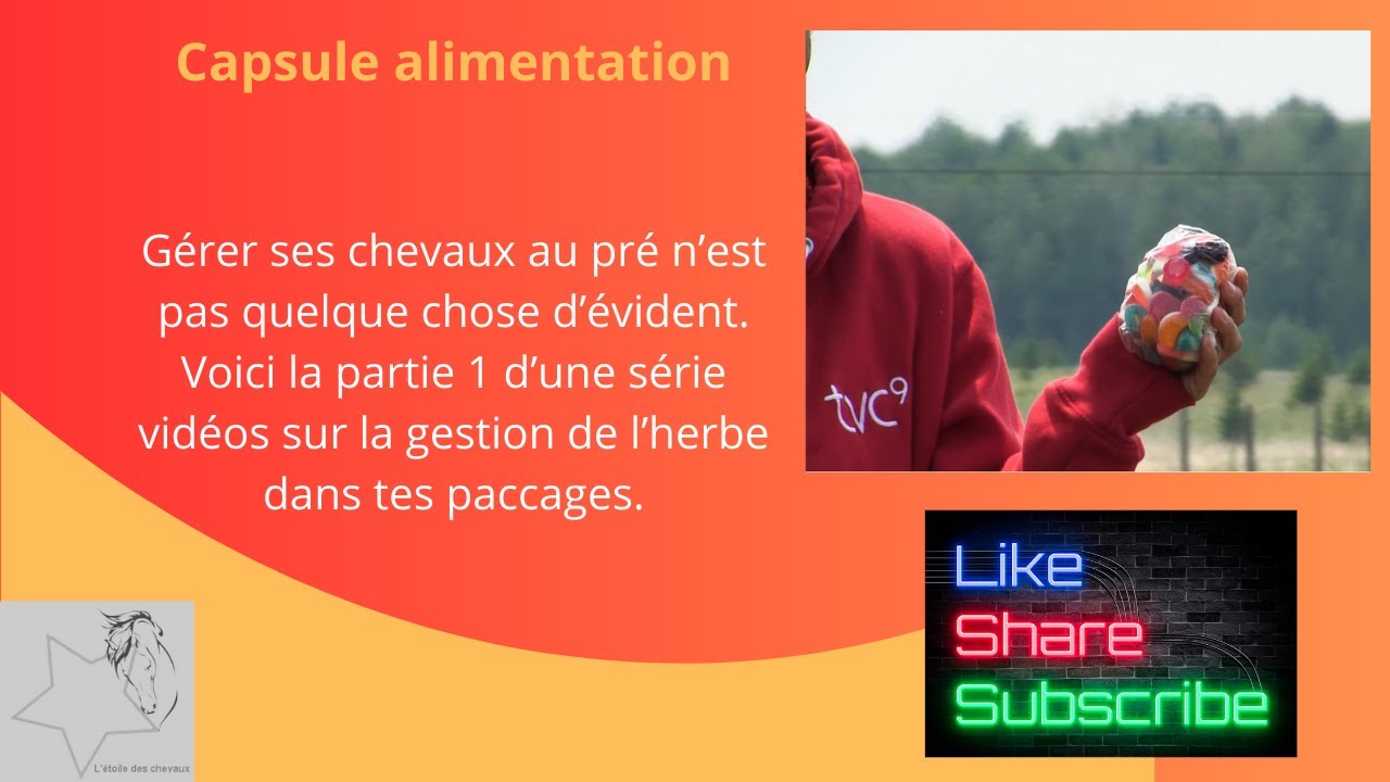 Mes astuces pour une gestion optimale des champs avec tes chevaux (Partie1)