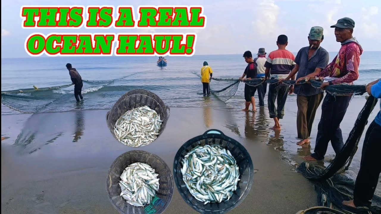 THIS IS A REAL OCEAN HAUL! One Net Pull and FISH EVERYWHERE! 😱