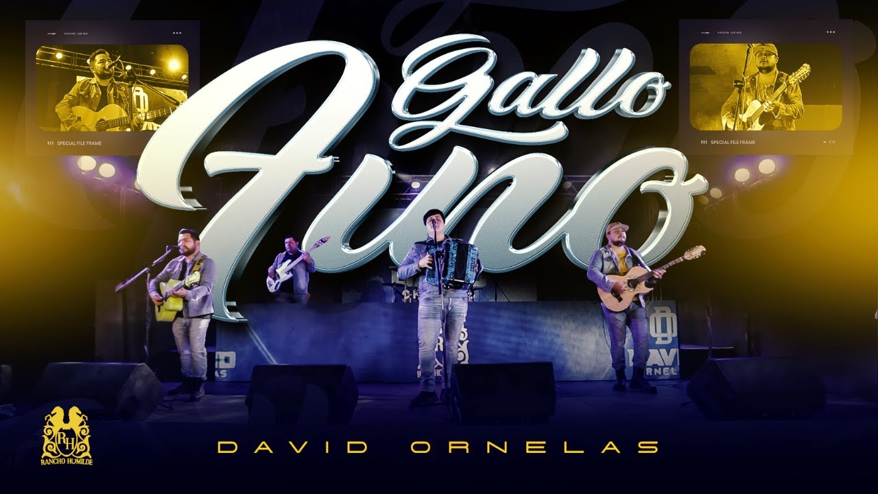 David Ornelas - Gallo Fino [En Vivo]