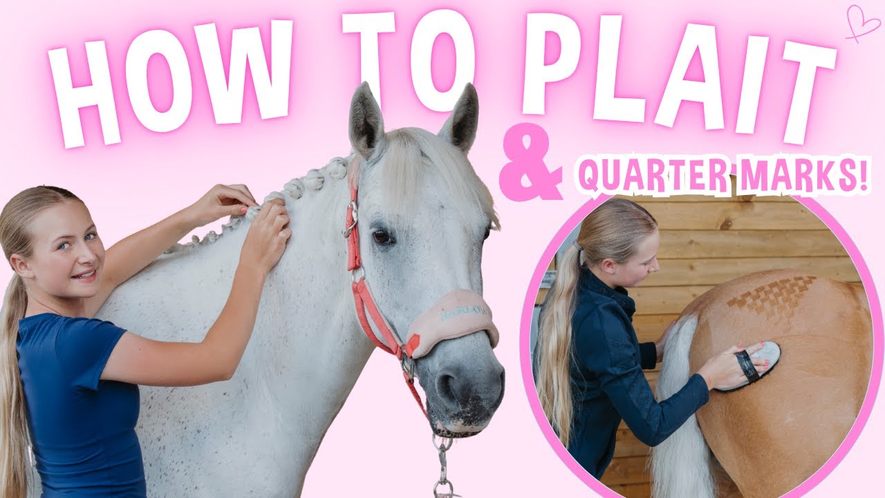 LEARN HOW TO PLAIT UP A HORSE AND DO QUARTER MARKS!
