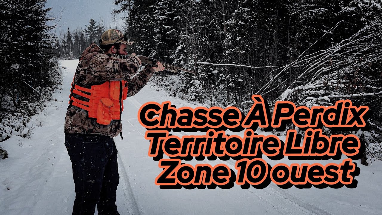 Chasse &Agrave; Perdrix / Territoire Libre Zone 10 Ouest