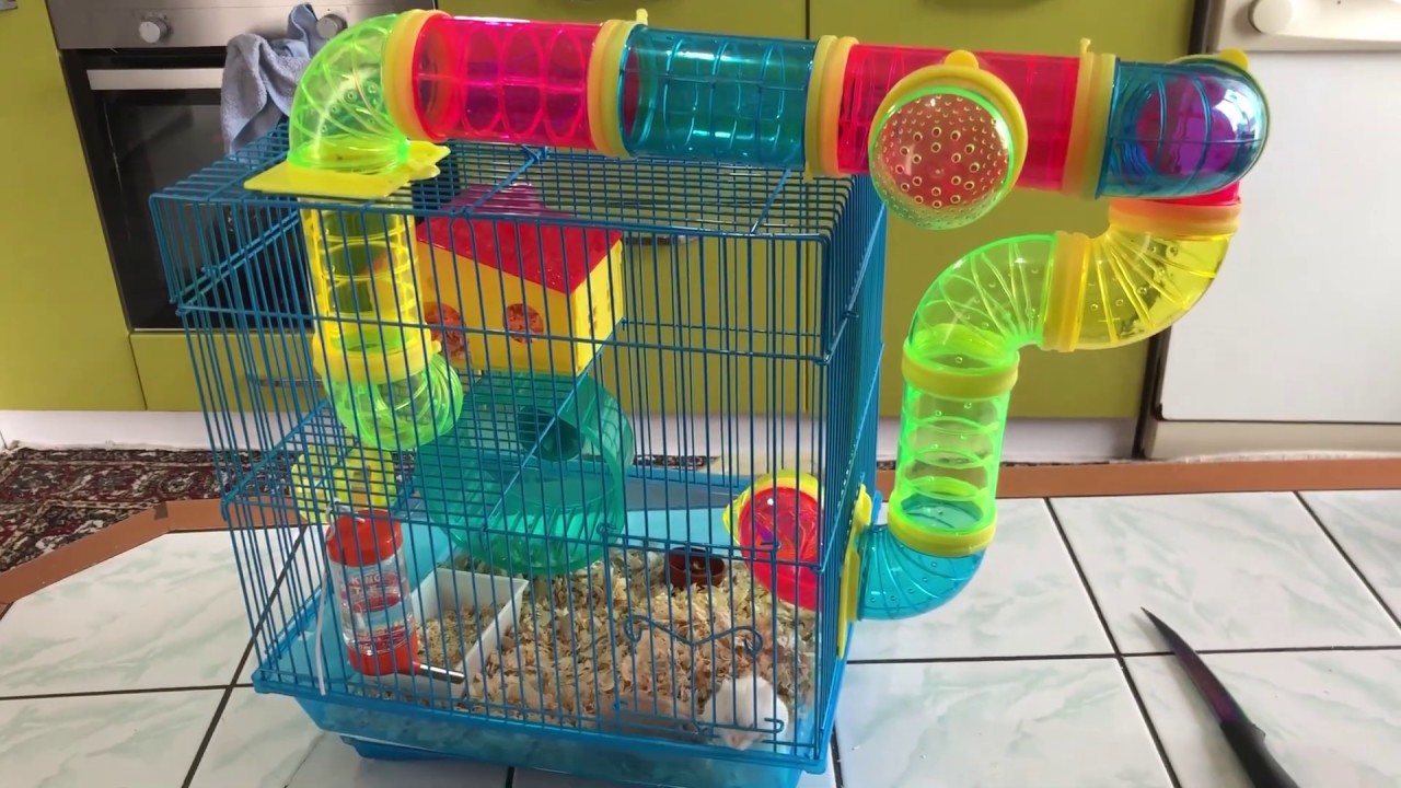 HAMSTER BAKIMI | KAFES KURULUMU