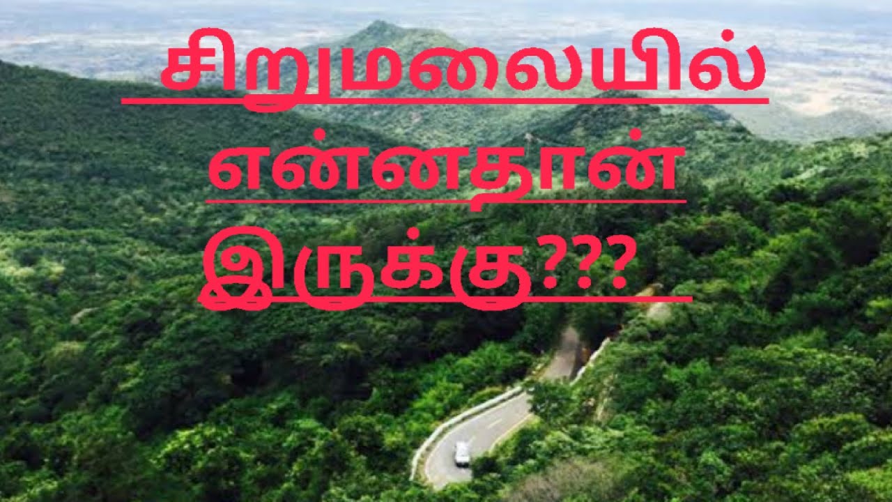 sirumalai Dindigul /சிறுமலை திண்டுக்கல் the natural update @yathumoore @TamilTrekkerOfficial