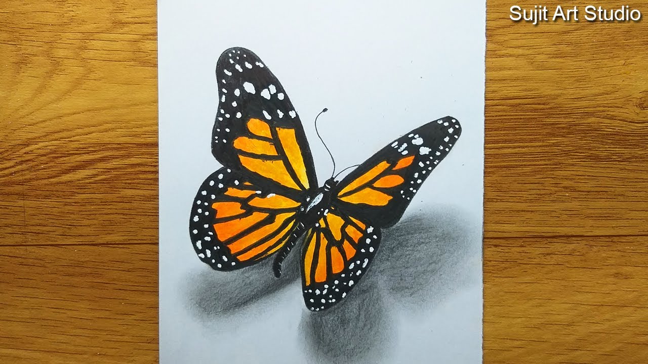 3D Butterfly Drawing | Oil Pastel Drawing for beginners - step by step | Satisfying Video