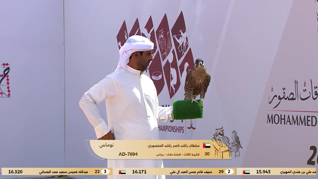 كاس محمد بن راشد لسباقات الصقور 2026 - أشواط النخبة