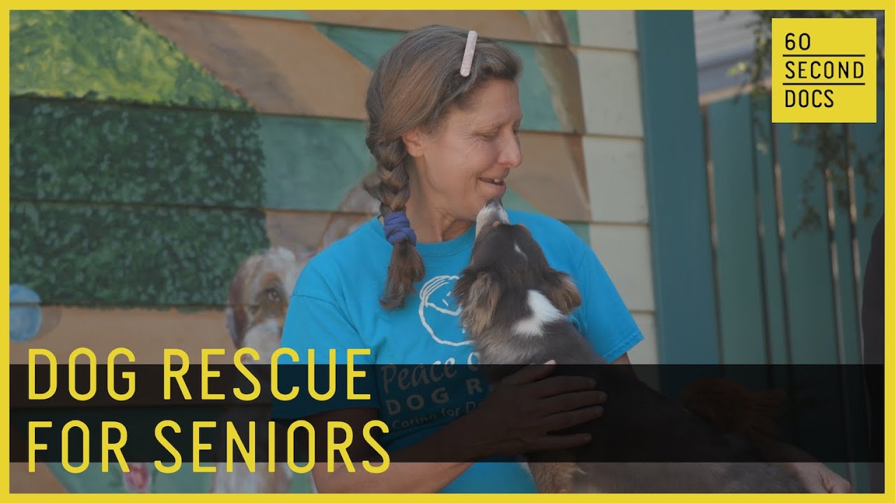Dog Rescue for Seniors