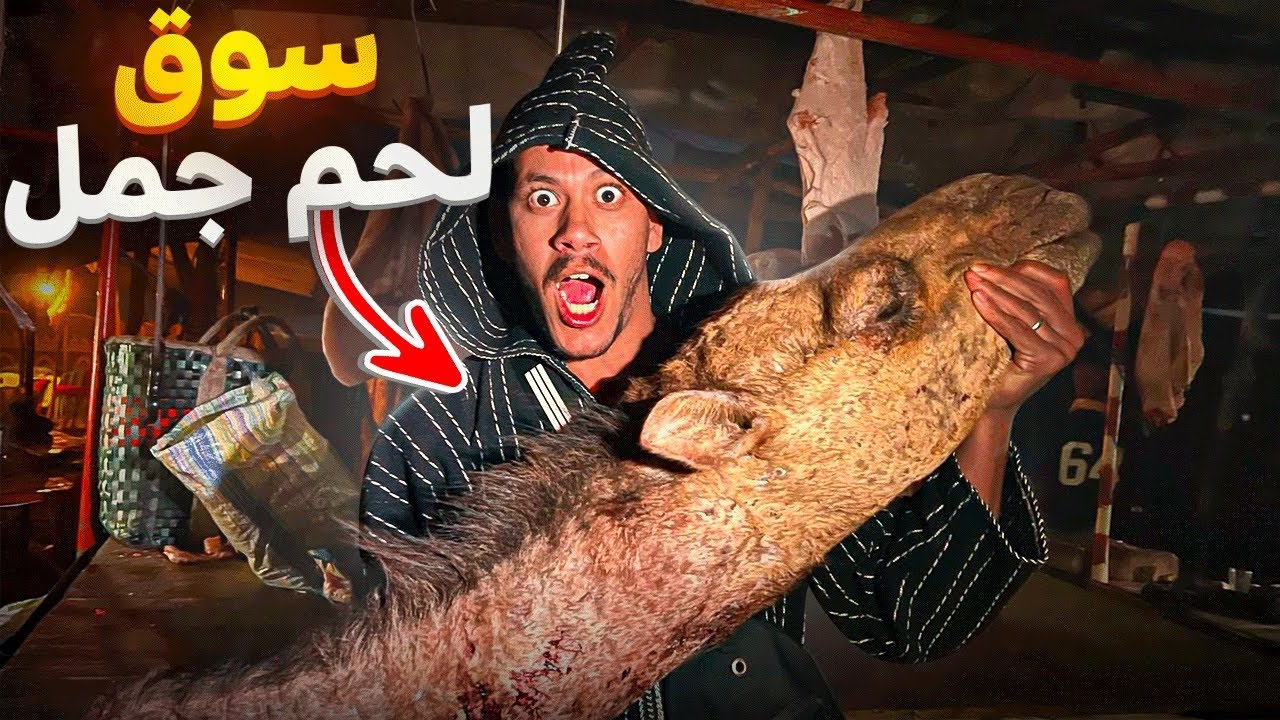 وثائقي: دخلنا أكبر سوق لبيع لحم جمل 🐫 هذه هي طريقة تحضيره في مدينة أسفي 🇲🇦ً أرخص سوق ‼️