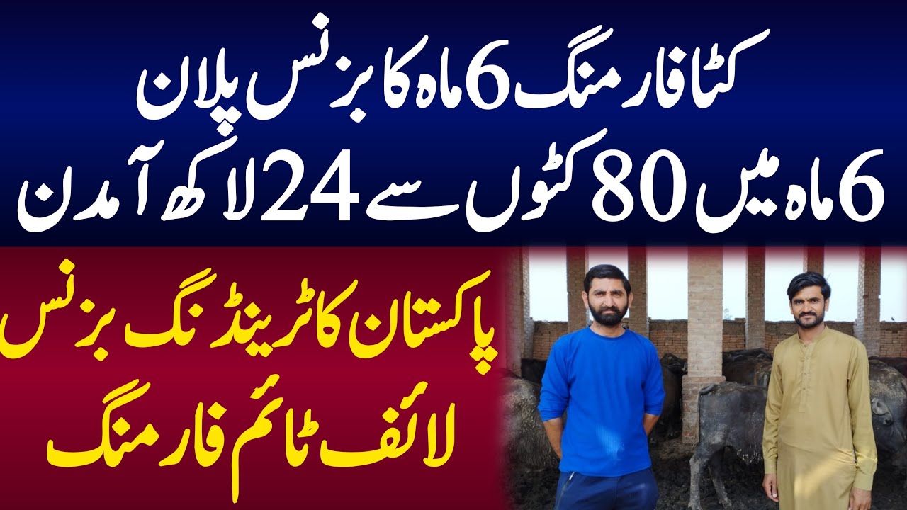 katta farming Business idea in pakistan 2023