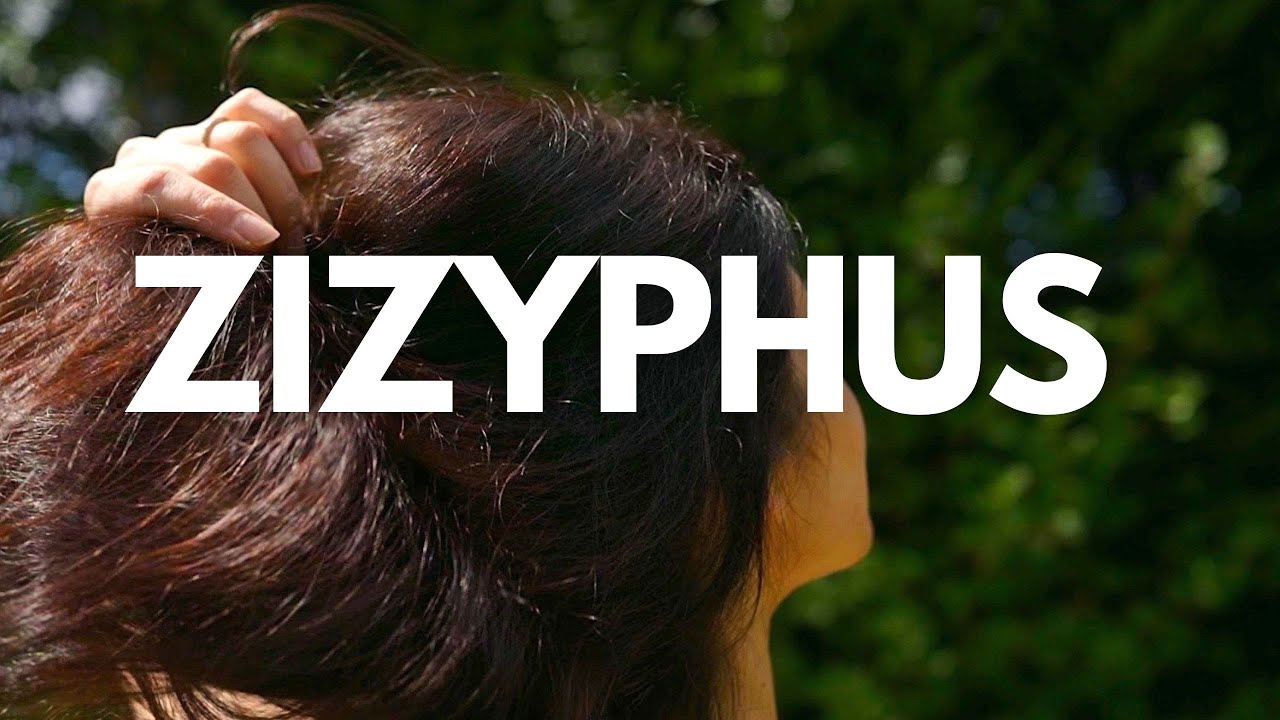 I TRIED ZIZYPHUS AYURVEDIC HERBAL POWDER (WITH SECRET INGREDIENTS!) | DIY HAIR MASK | HENNA SOOQ