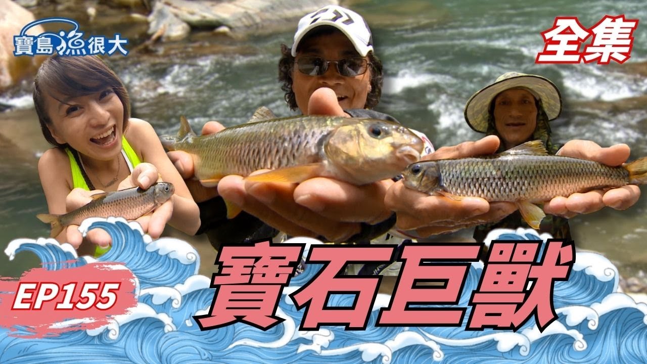 上山下海尋寶石魚！斷竿還要跳水救魚！| 寶島漁很大 | 全集